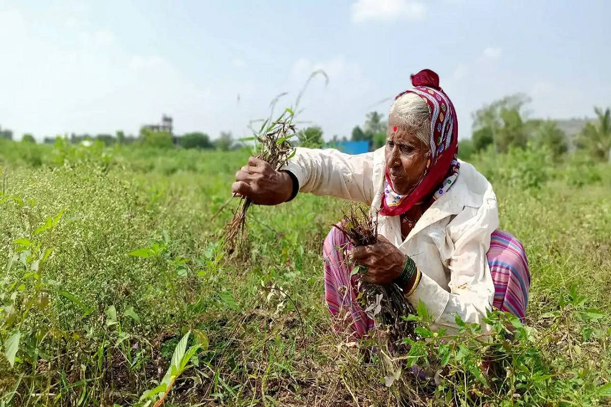 During the year 2022-23, the production of food grains was to be 169 lakh tonnes compared to 155 lakh tonnes during the year 2021-22