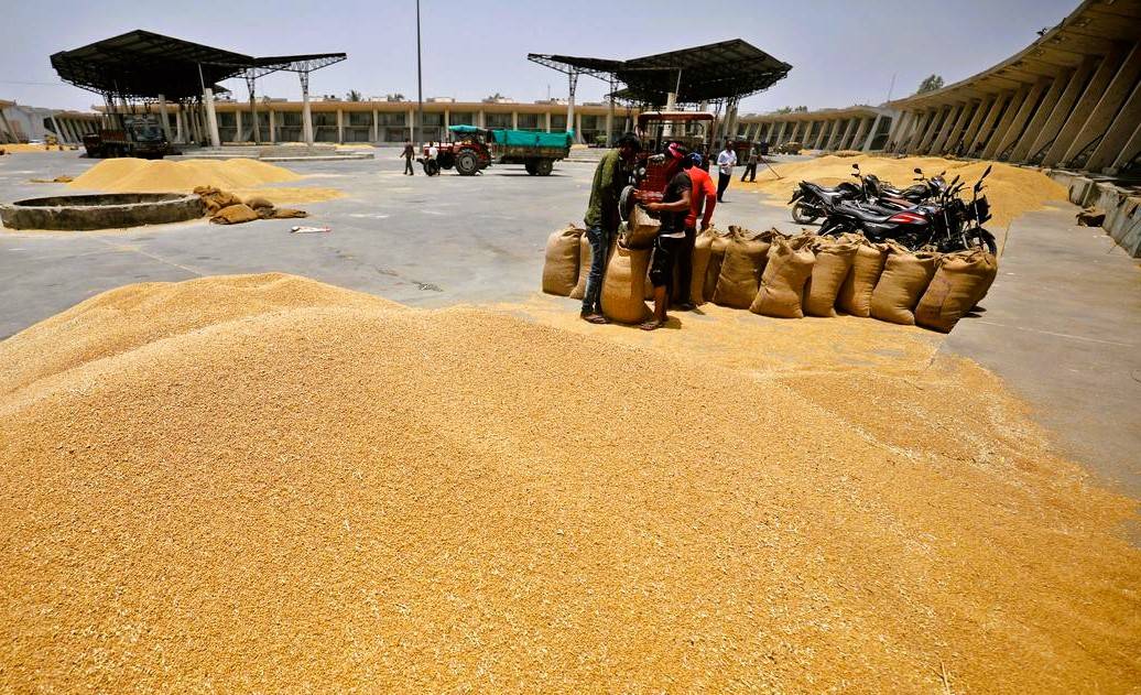 So far, FCI has made around '7,000 crore from selling wheat on the open market