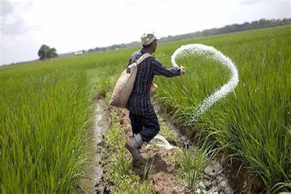 Government Assures Farmers Affordable Soil Nutrients with Subsidies on Both Urea and Non-Urea Fertilizers
