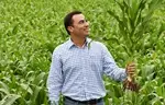 Researchers Discover a Novel Gene that could lead to More Resilient Corn Crops