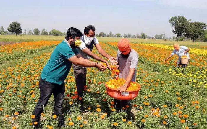 Kisan Mela, which was opened by Deputy Commissioner Vishesh Paul Mahajan, marked start of agricultural activity in hilly district after a long winter