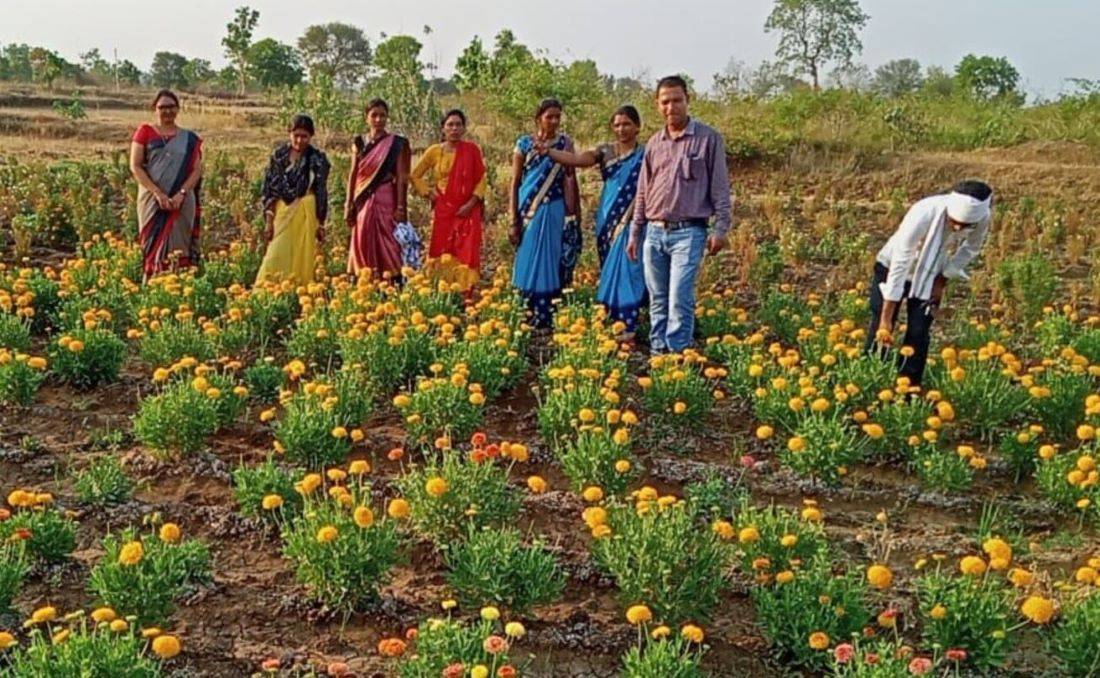 State government should take significant steps to develop a market for flowers