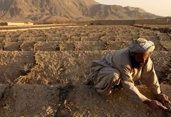 Afghanistan Requests UN Assistance to Stockpile Wheat Amid Drought Fears