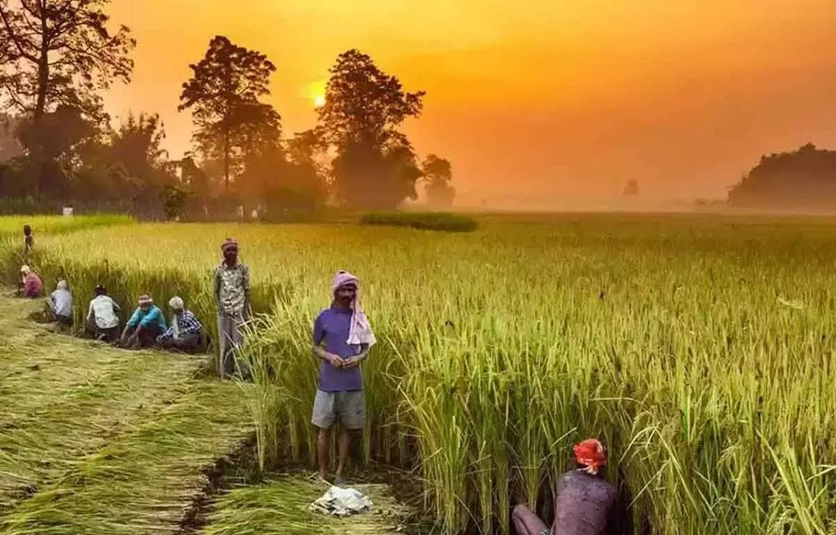 Tamil Nadu government to sanction Rs. 14,000 crore for agriculture