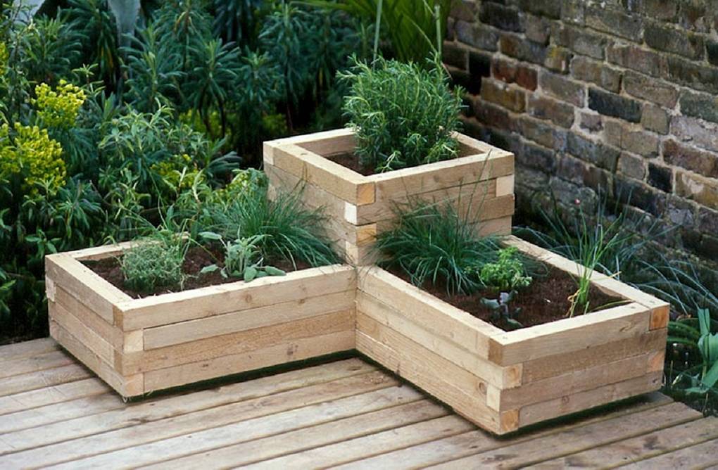 Read this article to find out which planter is the perfect fit for your greenery.