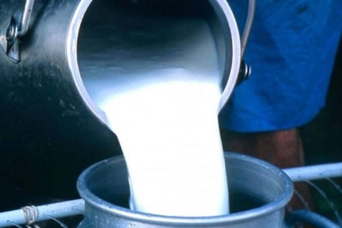 To examine the problem of milk adulteration in the country, FSSAI has advised the food safety authorities in States/ UTs