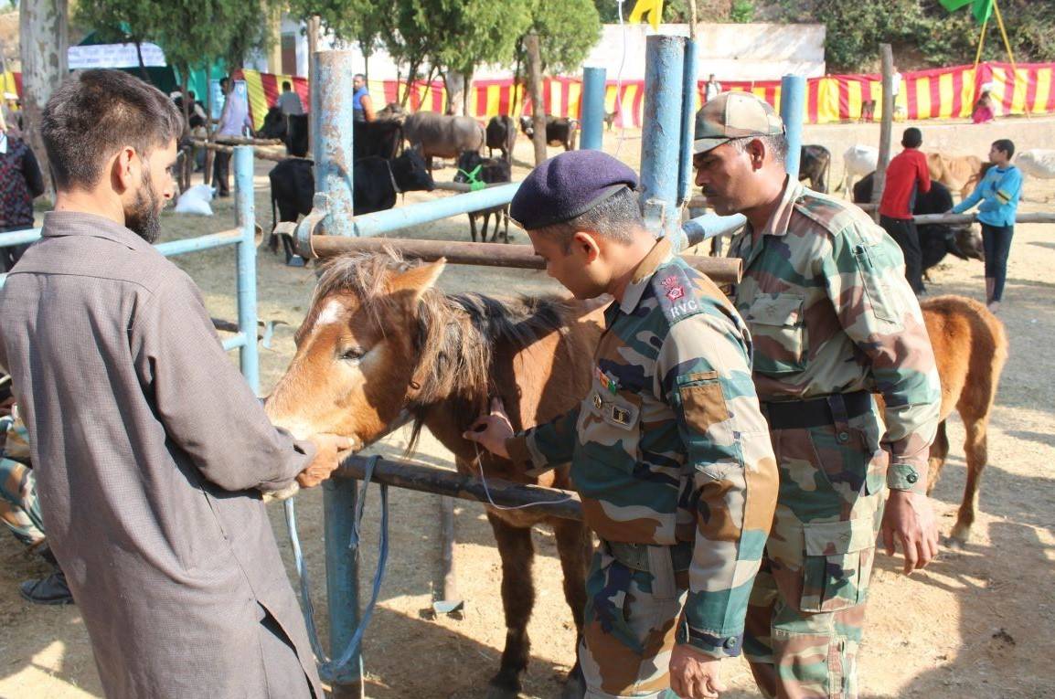 Indian Army veterinary team treated the village's goats, calves, and sheep in Jammu & Kashmir