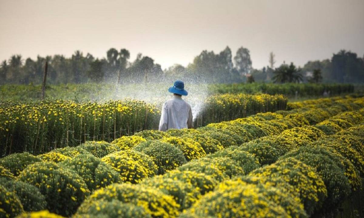 The candidate will understand the principles of marketing products to specialist sectors, and be confident communicating with both highly-qualified industry leaders and small-holder farmers