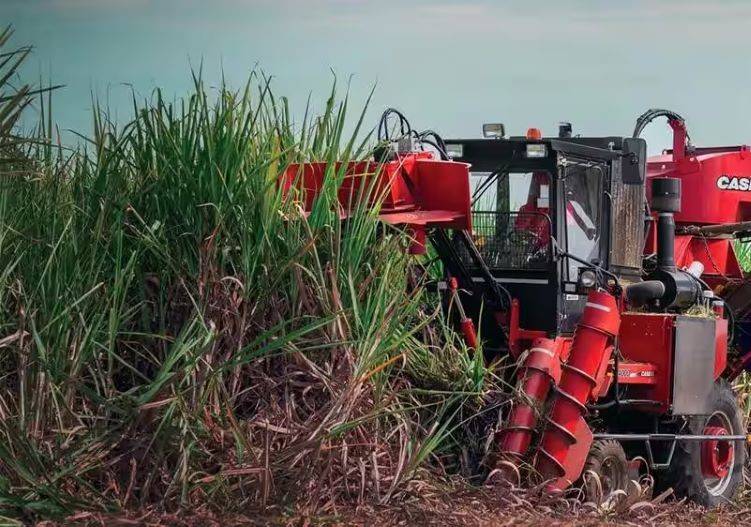 Mechanical Harvesting of Sugarcane is Need of Hour