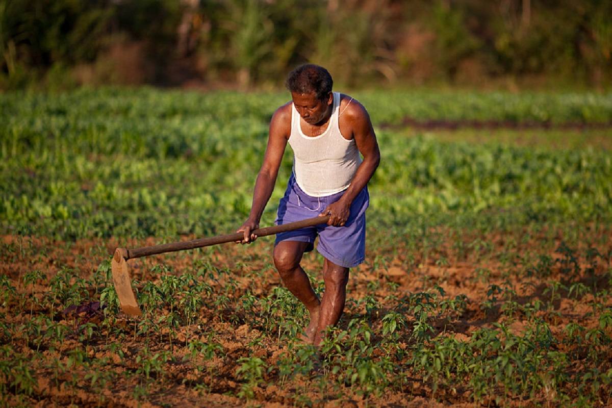 Goa Introduces Bill to Restrict Non-Agriculturist Land Ownership & Promote  Cooperative Farming