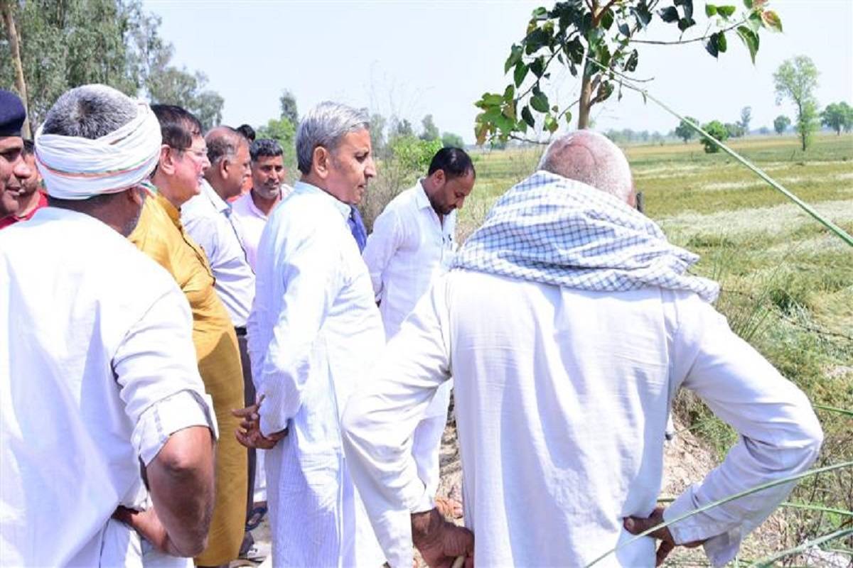 Agriculture Minister JP Dalal taking stock of the damage caused to crops by recent rains at a Rohtak village on Thursday.