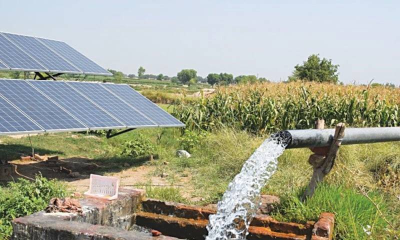 Punjab government has chosen to push out the unveiling of the new agriculture policy