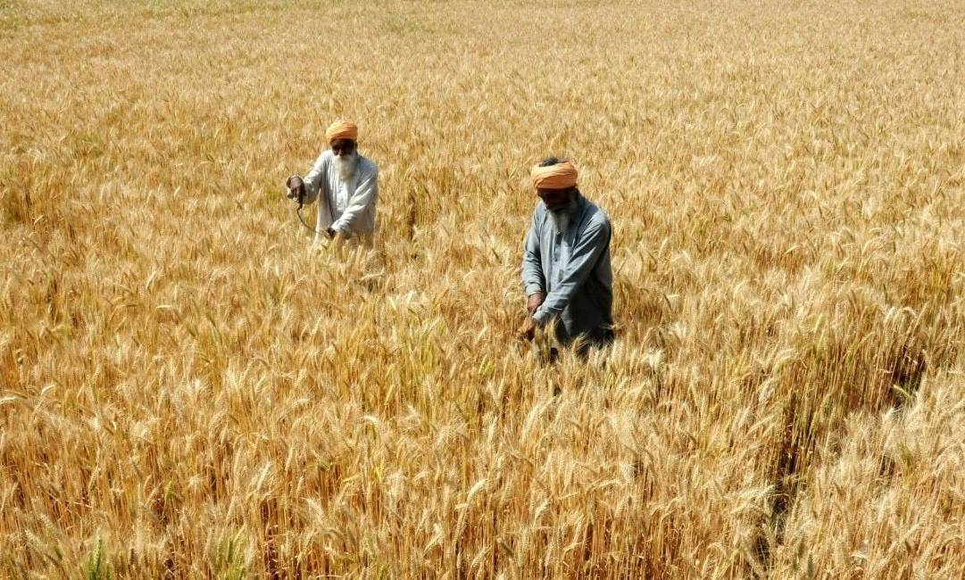 UP Govt Announces Compensation for Recent Crop Damage