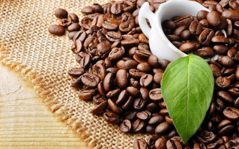 India Brews Up Success with Record Coffee Exports in FY23 Fueled by Soaring Prices