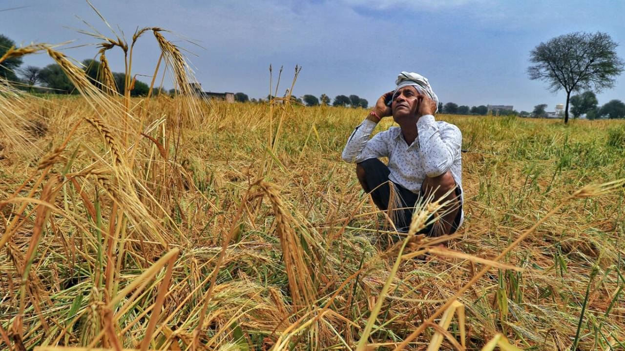 Recent bad weather had severely damaged the crop and that the state government's compensation, even if it is fully paid, will not be of any value to the farmers