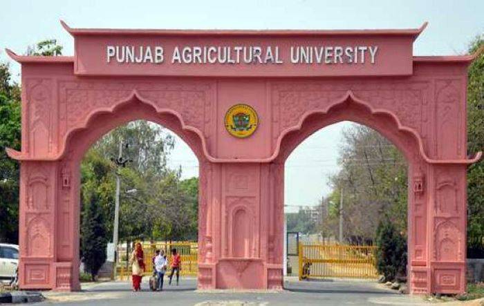 Punjab Agricultural University Evaluates Effects of Surface Seeding Technique