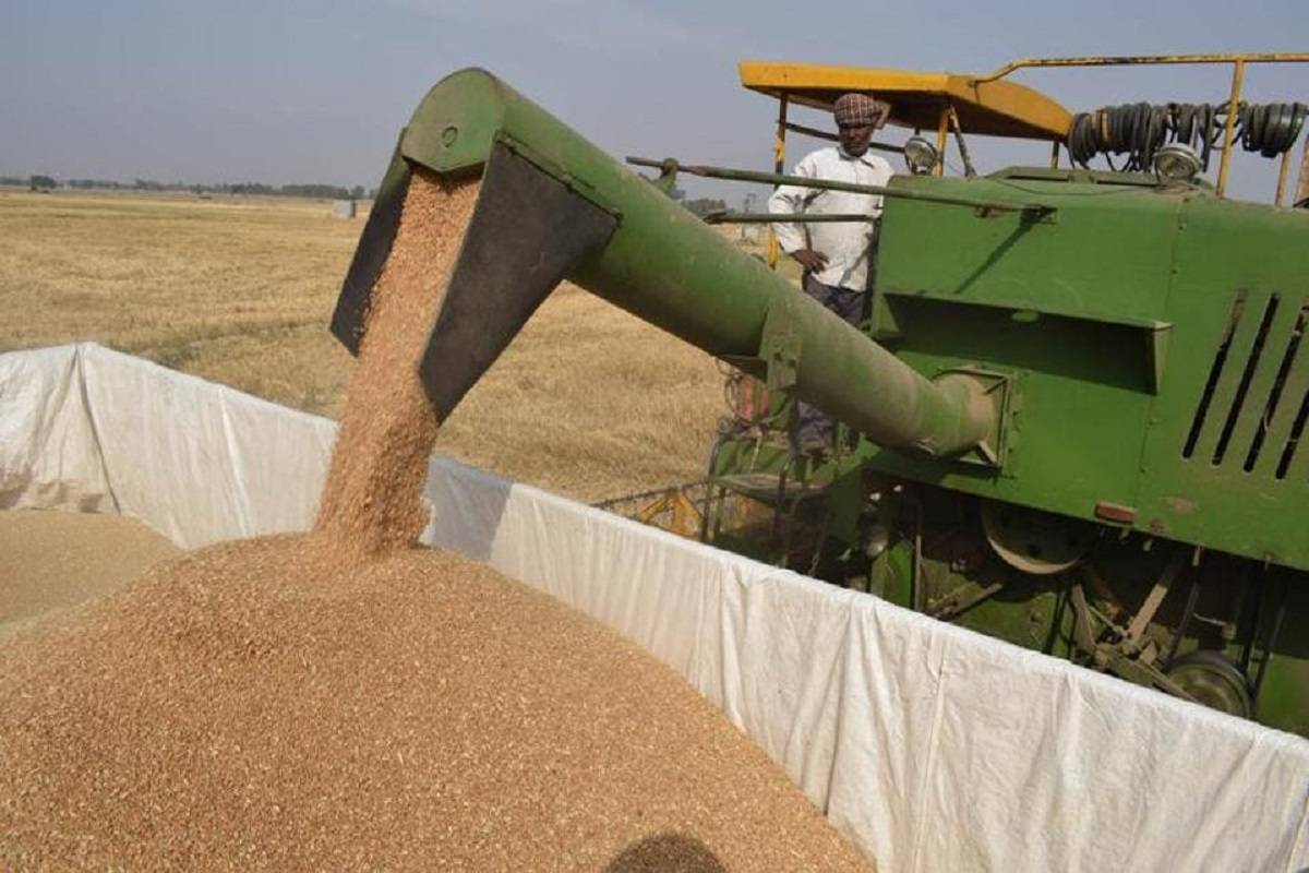 Govt hopeful of record 112 mn tonne wheat output despite damage to crop due to bad weather