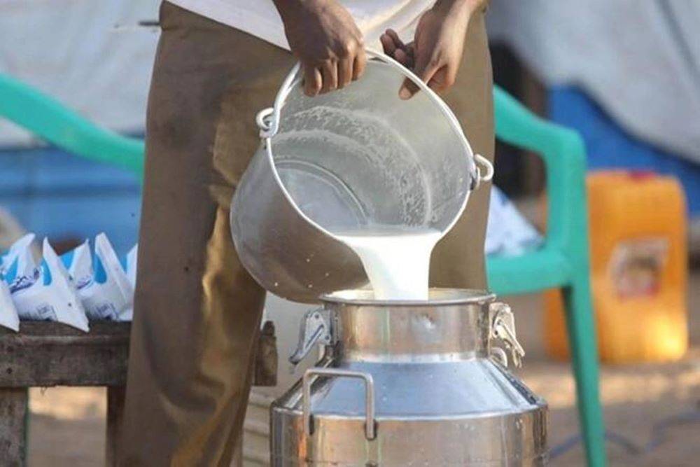 Milk Imports Surge Due to Disease Outbreak in Local Cattle Stock
