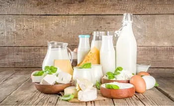 Indian Govt Mulls Importing Dairy Products Amidst Stagnant Milk Output & Supply Shortage