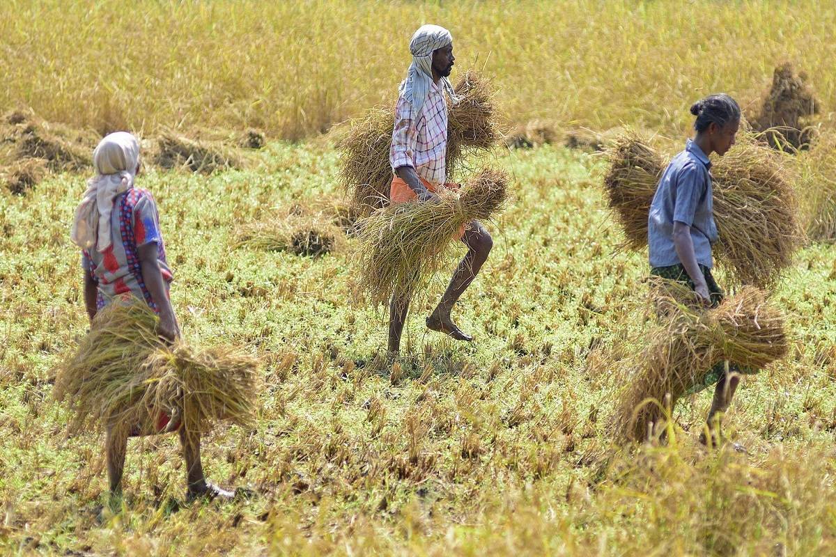 Himachal Government to certify about 1.5 lakh farmers practicing natural farming