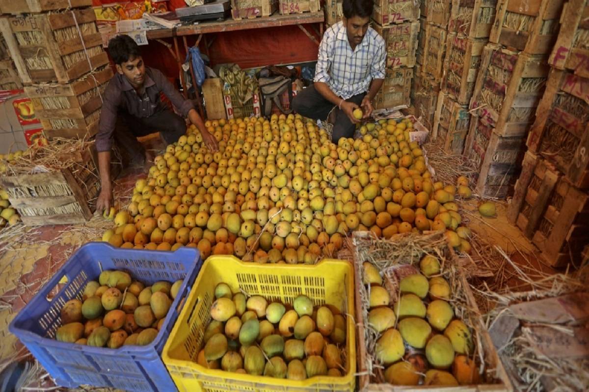Mangoes arriving early in market leading to rapid sales