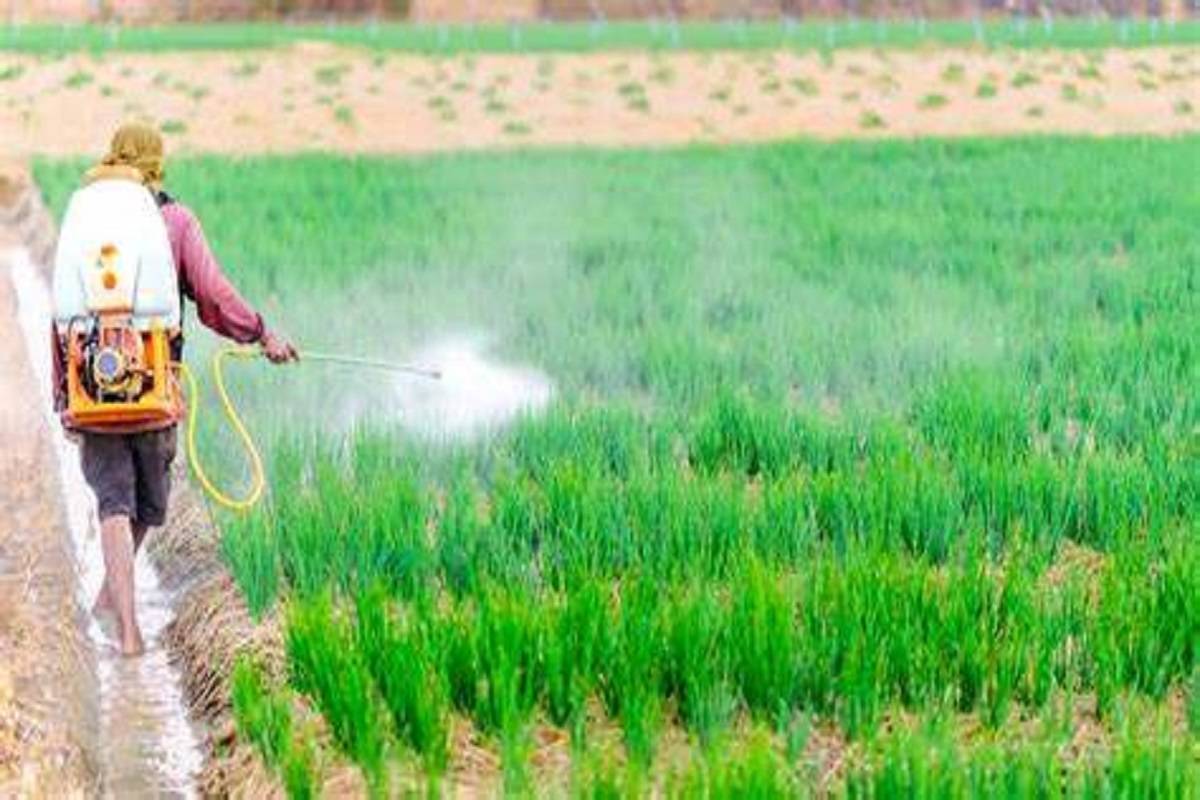 Farmers issue legal notice seeking action against private firms for manufacturing poor-quality herbicide, weedicide, and biofertilizer.