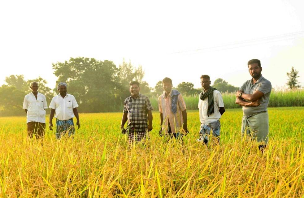 Expert in Haryana Emphasizes Doubling Farmers' Income as Top Priority in Agriculture