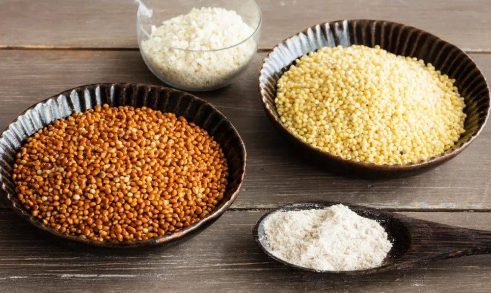 Punjab Govt Promotes Healthy Eating: Millets Added to State Institute of Sports' Menu