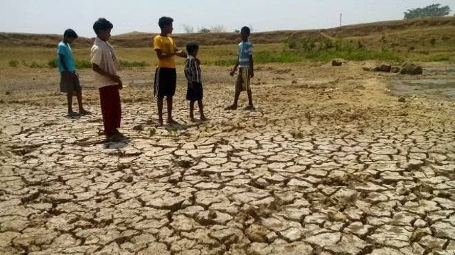 Jharkhand's Unusual Drought Crisis: Farmers Left with No Paddy to Sell