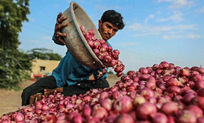 Onion Prices Soar Above Rs 1,000 Amid Concerns of Rain Damaging Rabi Crop