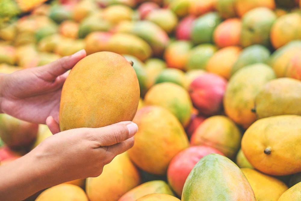 Pune Trader Introduces Mangoes on EMI: Satisfy Your Cravings Now, Pay Later
