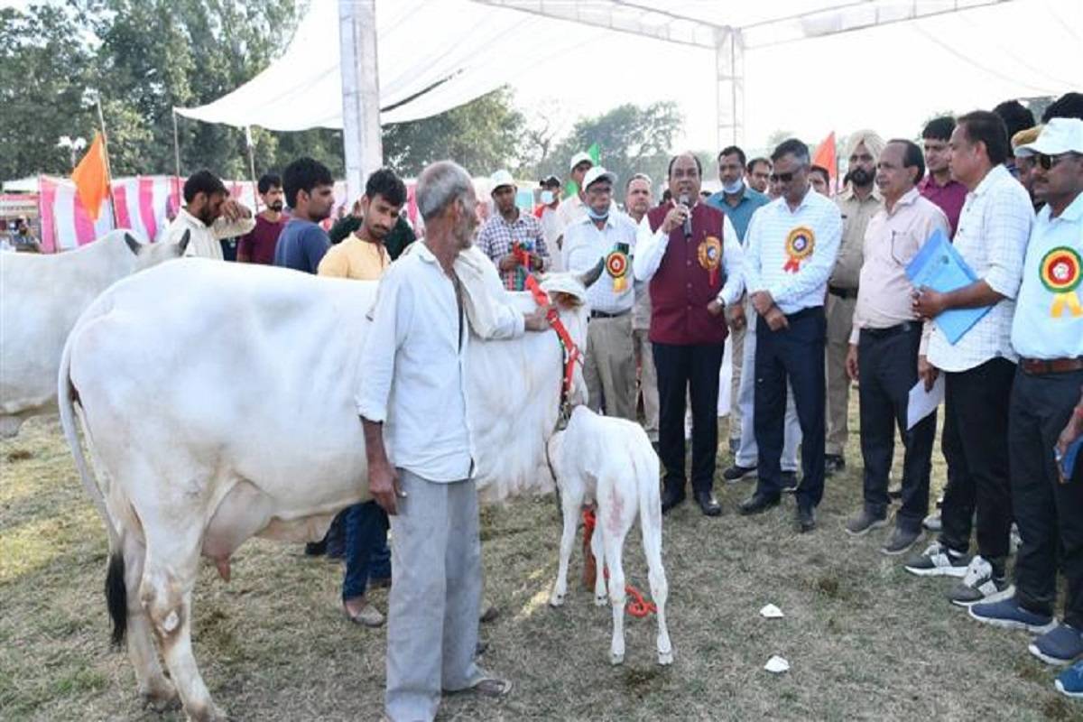 Day- 2 of the three-day National Dairy Mela organized by the ICAR-National Dairy Research Institute (NDRI) in Karnal
