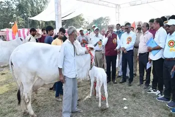ICAR-NDRI Organizes Three-Day Dairy Fair: Bovine Beauty Steals the Show!