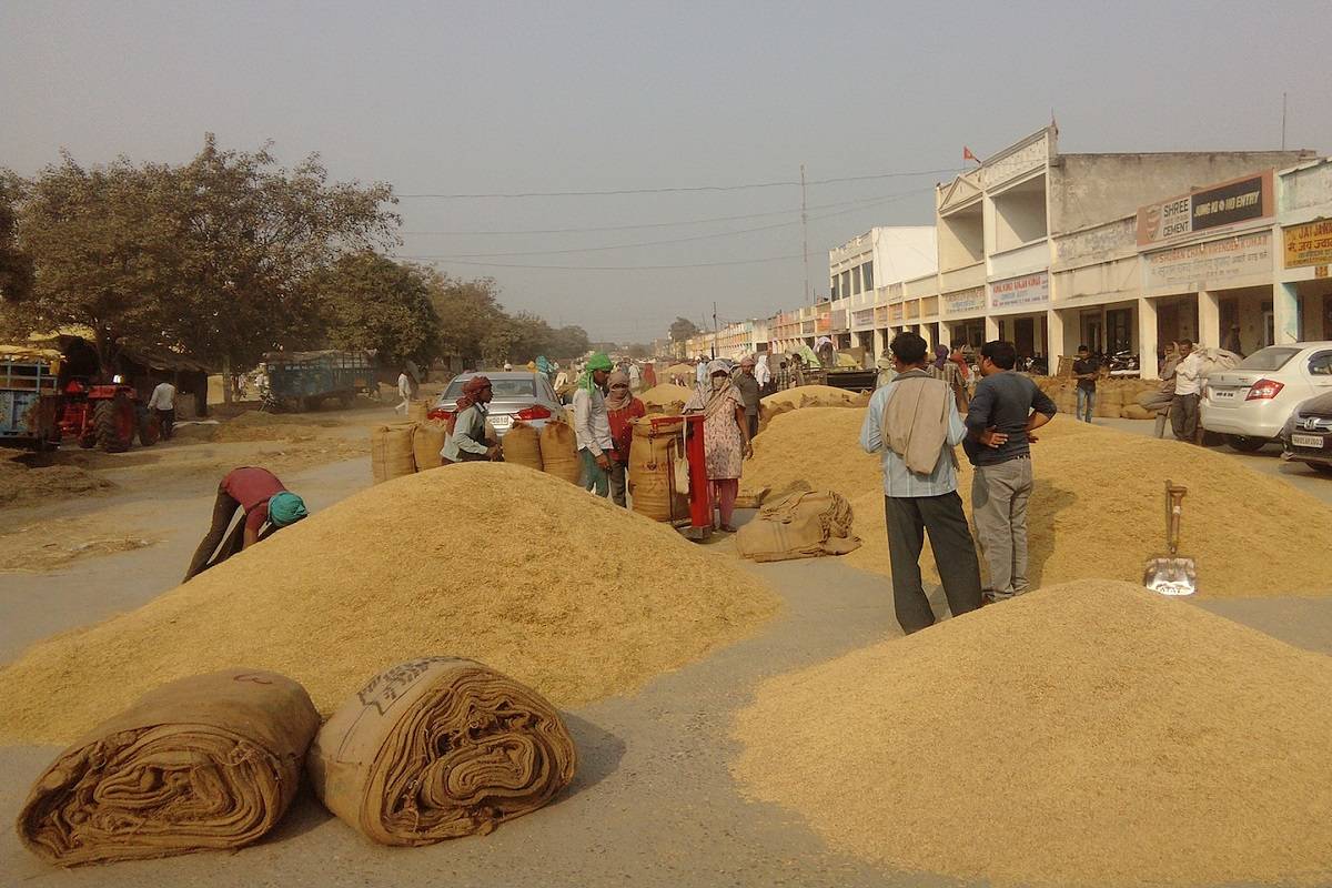 Workers at a grain market in Karnal on Monday