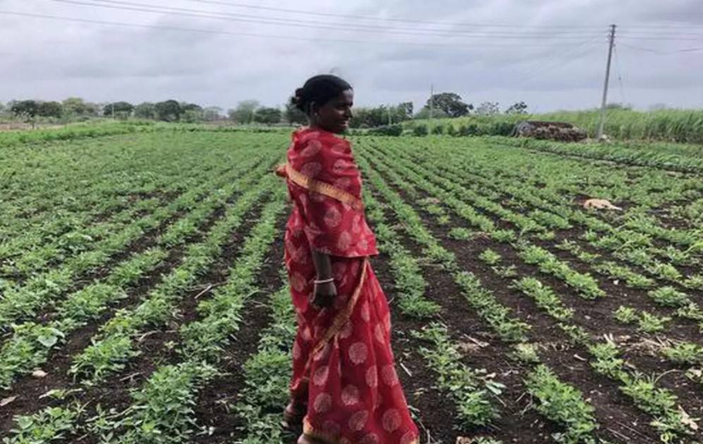 Maharashtra Govt Allocates Rs 21.9 Crore for 14 Agriculture Projects in Latur District