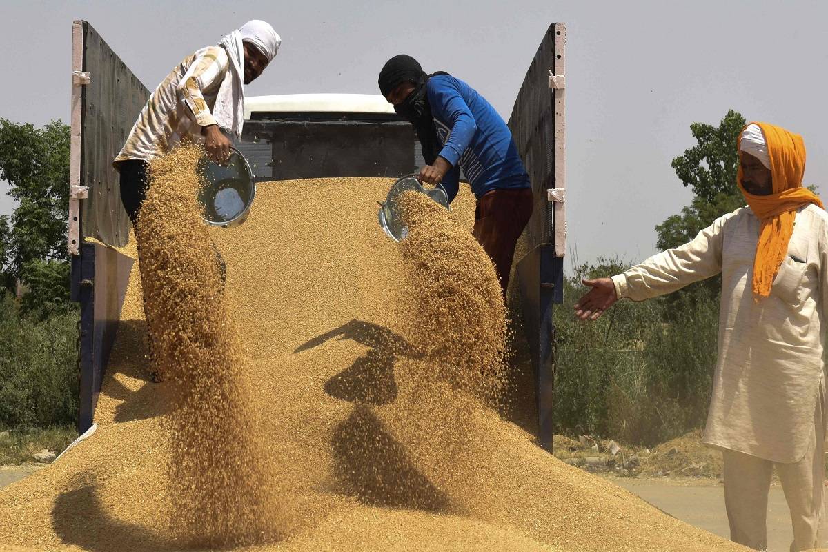 Bihar to Commence Wheat Procurement from April 20 with a Target to Lift 10 Lakh MT
