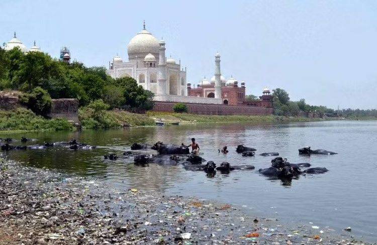 NGT Directs UP Chief Secy to Ensure Remedial Action Against Yamuna Pollution in Mathura & Agra