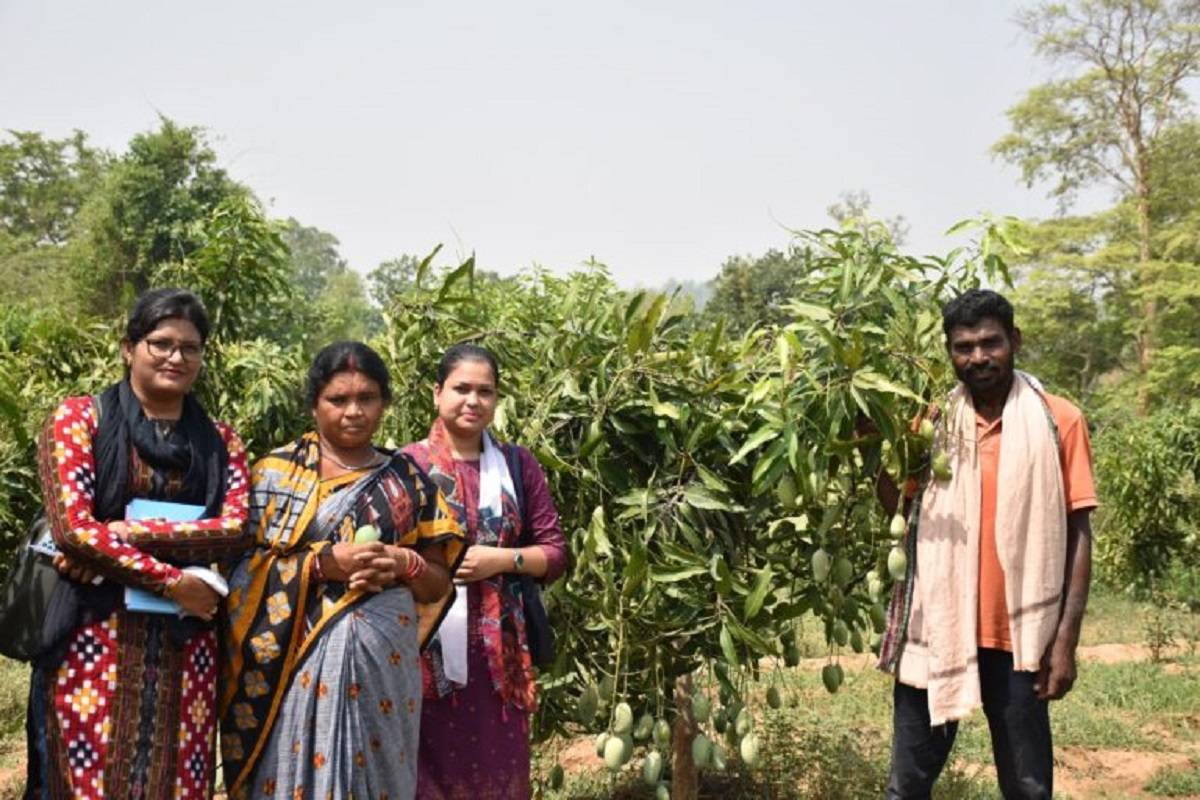 Tribal farmers are growing diverse varieties of fruit in order to have a sustainable source of income.