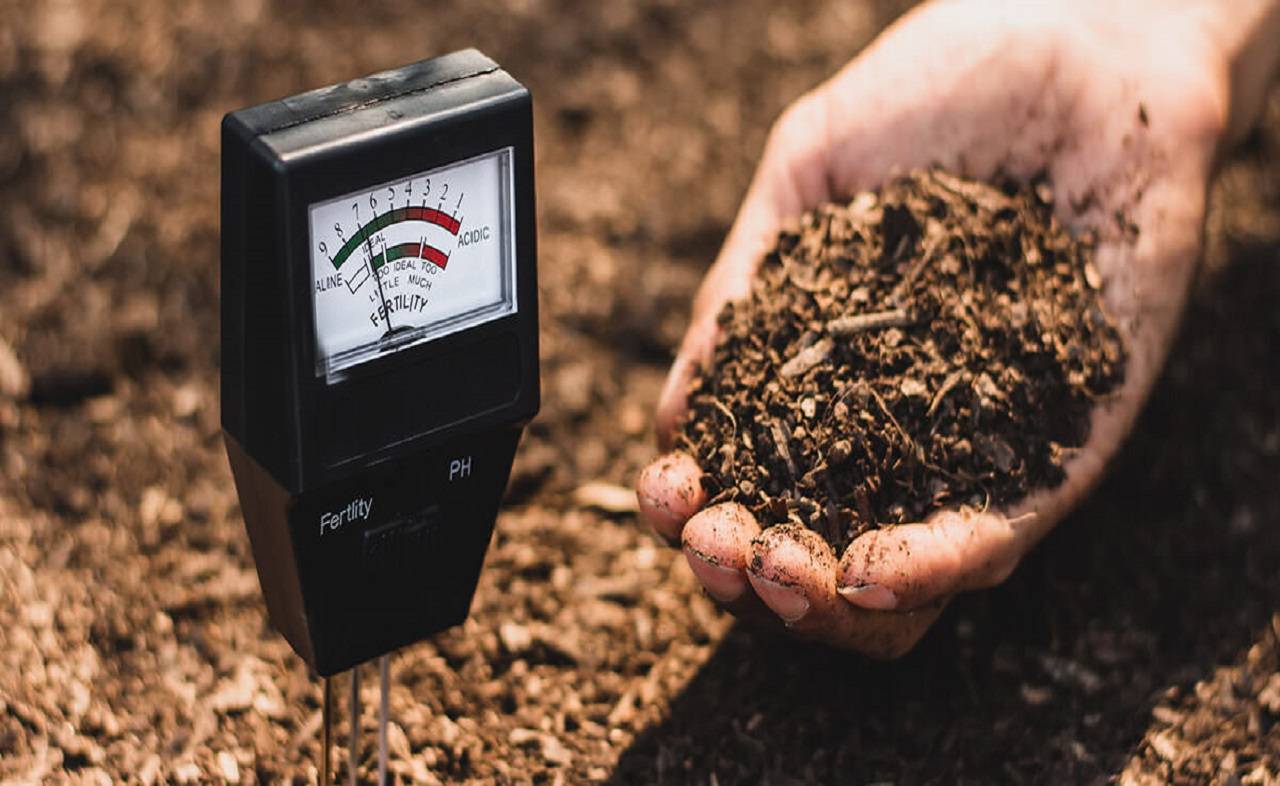 Boost Your Harvest: Why Every Farmer Needs Soil Testing and Nutrient ...