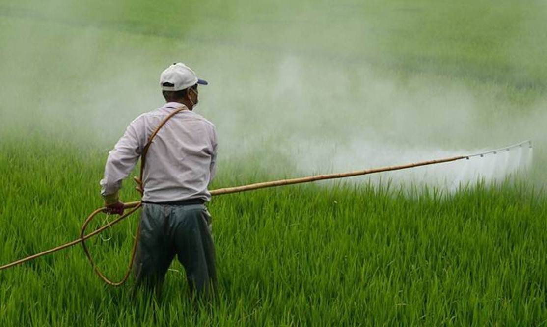 Gujarat Agriculture Dept Seizes Urea Worth Rs.88 Lakh