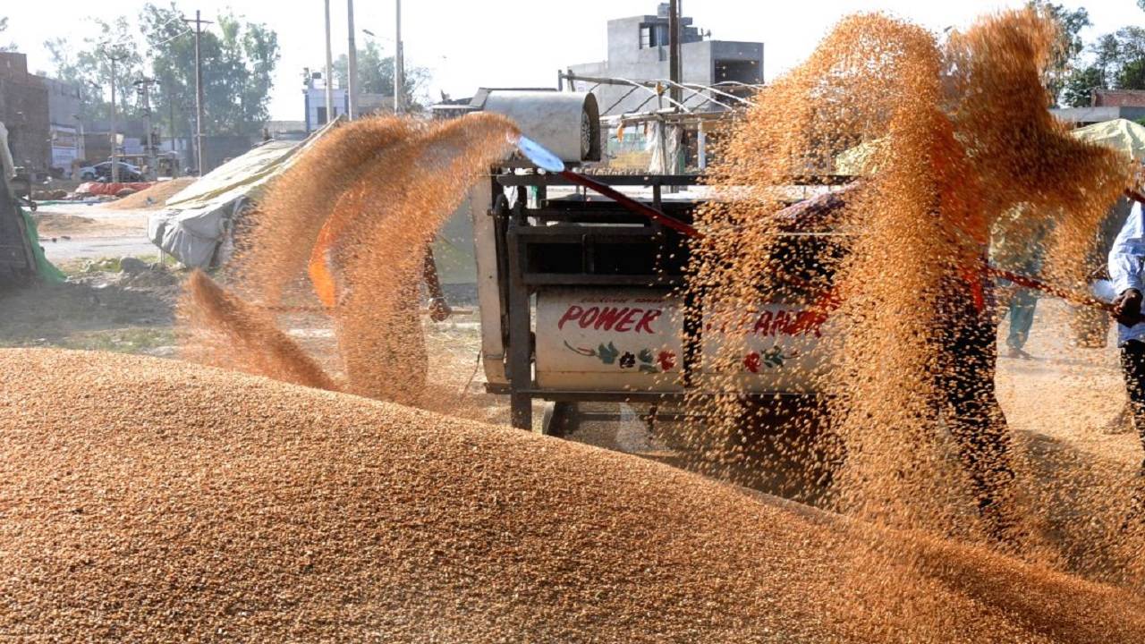 Wheat yield in Punjab has been satisfactory despite unseasonal rains and hailstorm, farmers and officials familiar with matter said