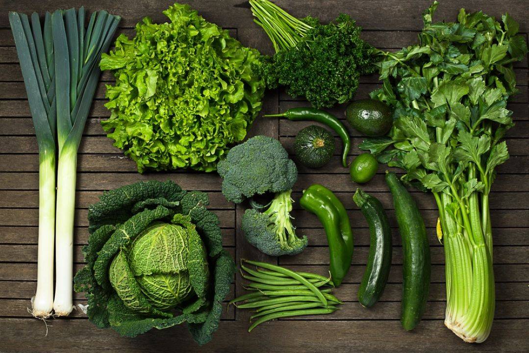 PAU Experts Link Green Leafy Vegetables Consumption to Reduced Anaemia Risk