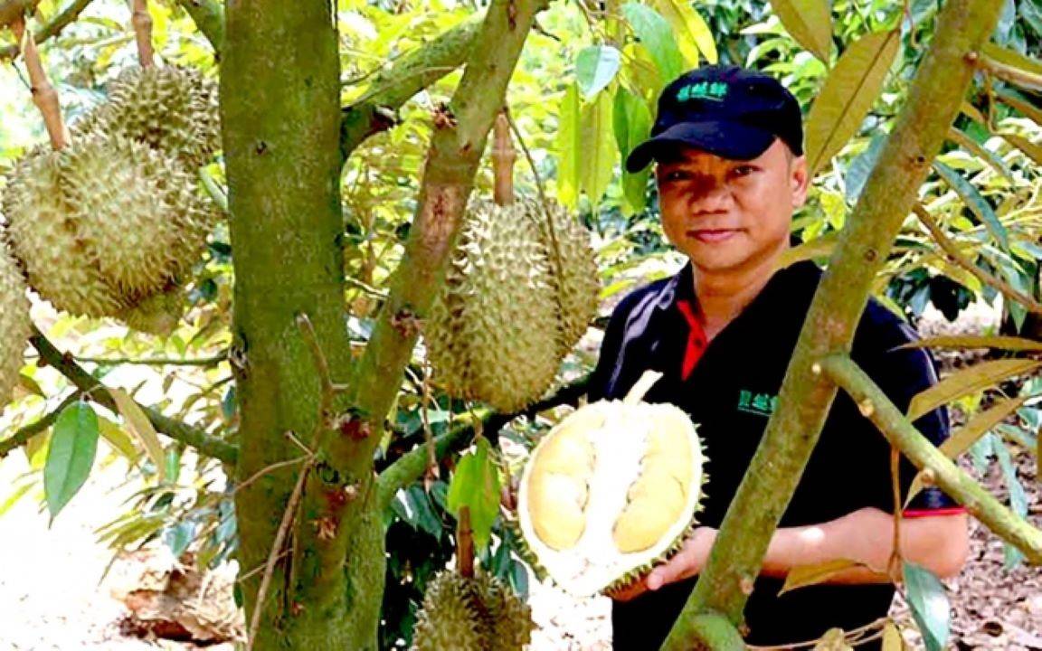 Vietnam's Bountiful Harvest: Fruit & Vegetable Exports Set to Soar to USD 4 bn in 2023