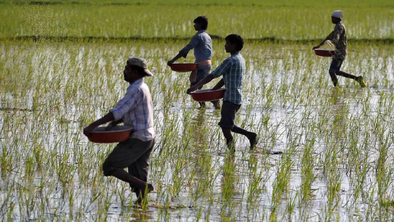 In the absence of a credible mechanism to identify the distress as it happens, farmers facing hardships are not being attended to at the right time