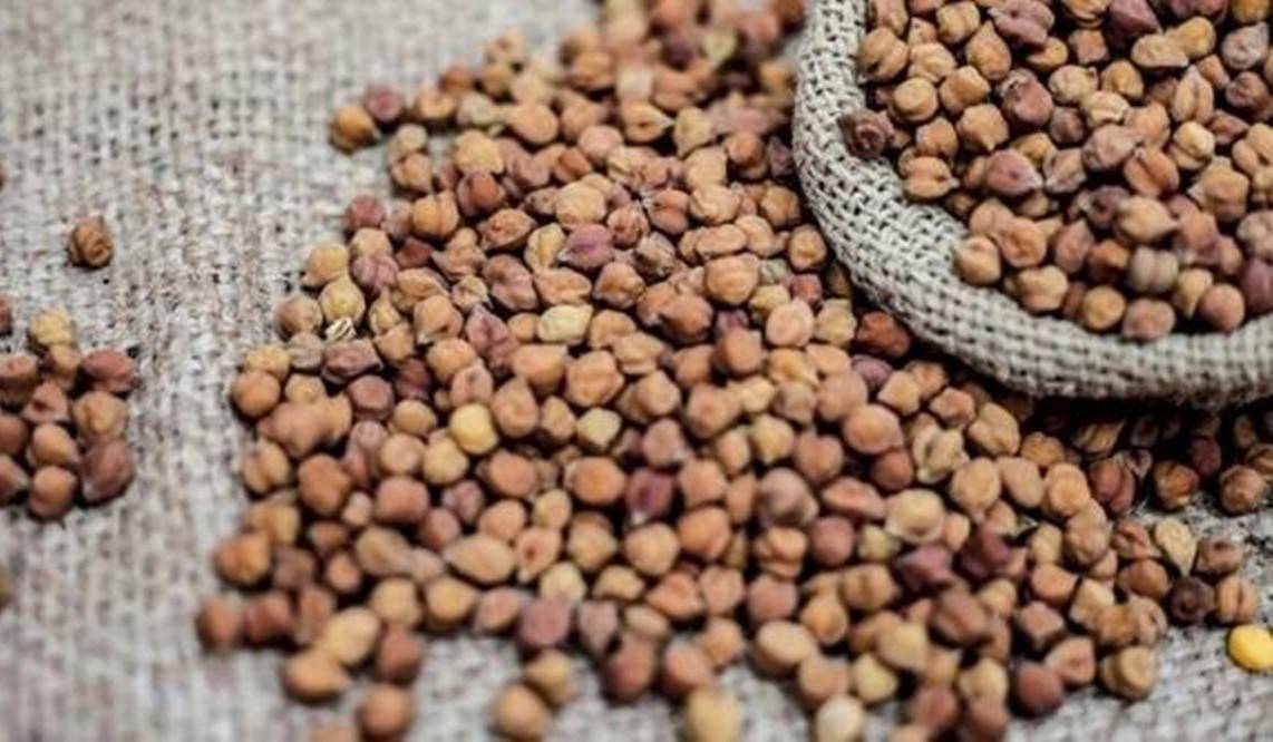 Chana Procurement Increases, Yet Prices Remain Below MSP