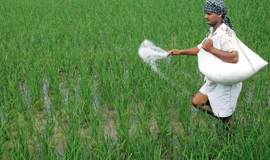 Urea Subsidy Projections for FY24: Below Rs 1-lakh cr Against BE of Rs 1.31-lakh cr