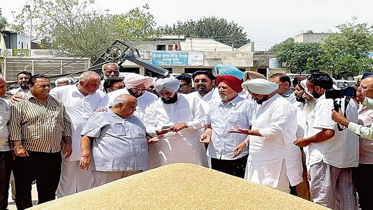 Leader of Opposition Partap Bajwa in the Goraya grain market.