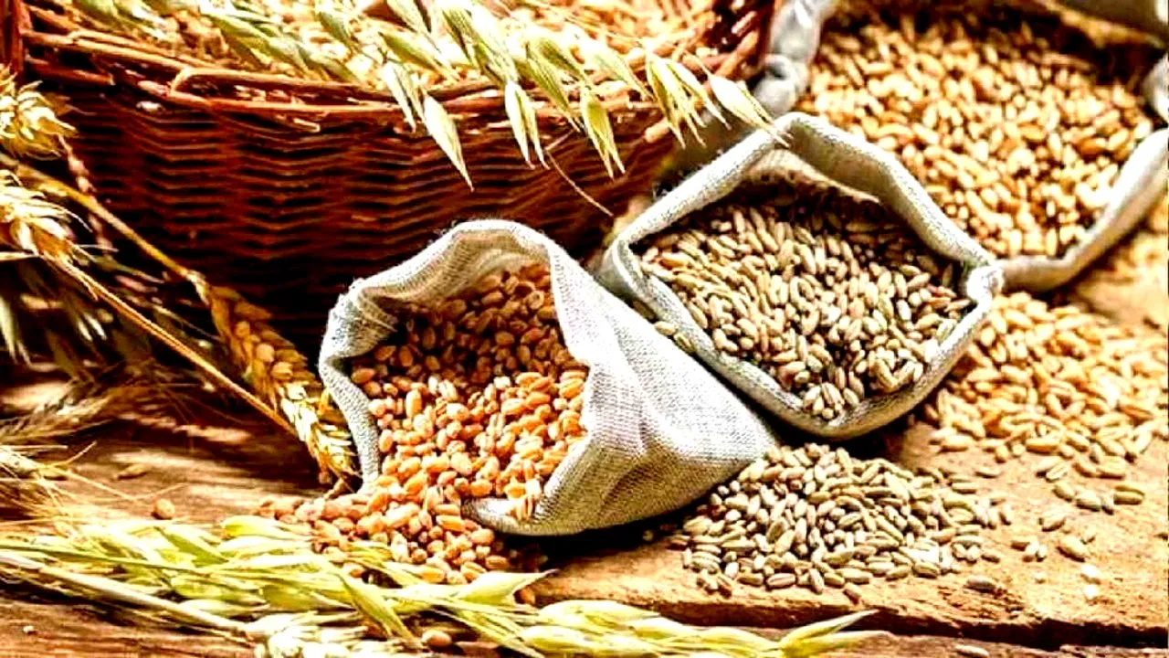 Govt's Wheat Procurement Drops by 18% at 41 Lakh Tonne; Mandi Arrivals Show Improvement
