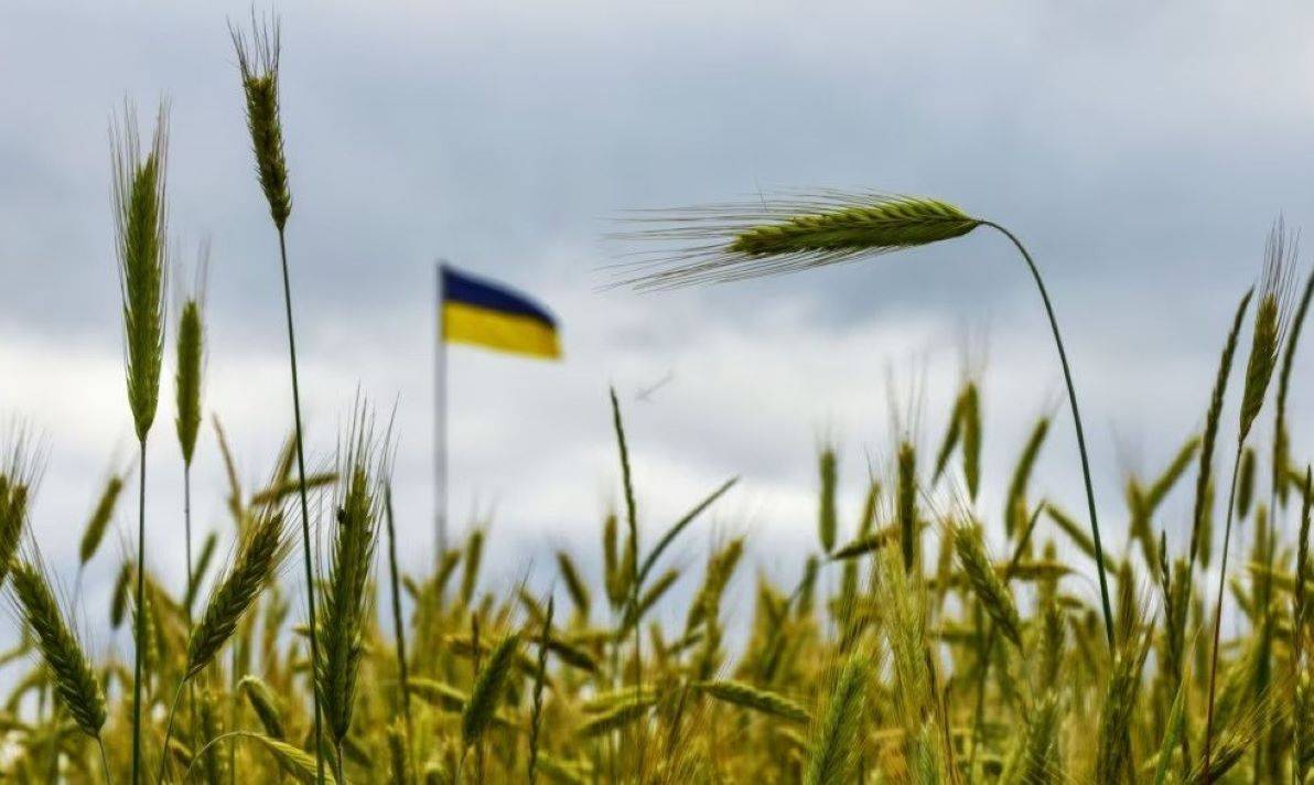 Kyiv's Transit Deal Search Intensifies as Ukraine Implements Grain Import Bans