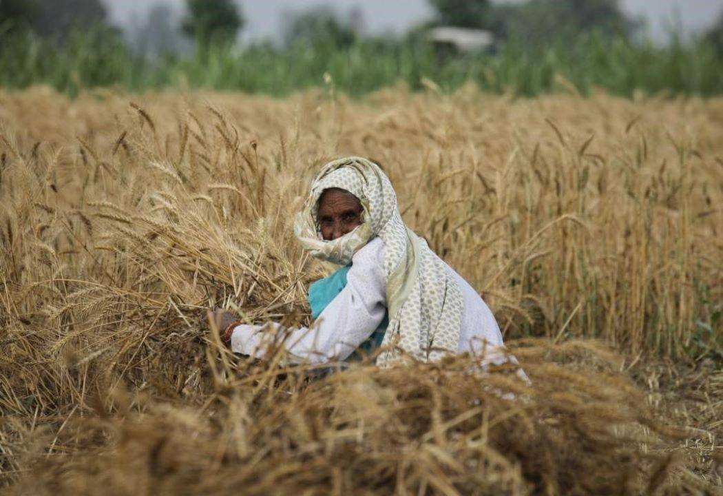 Study Reveals Government Schemes Fail to Reach Marginal Farmers